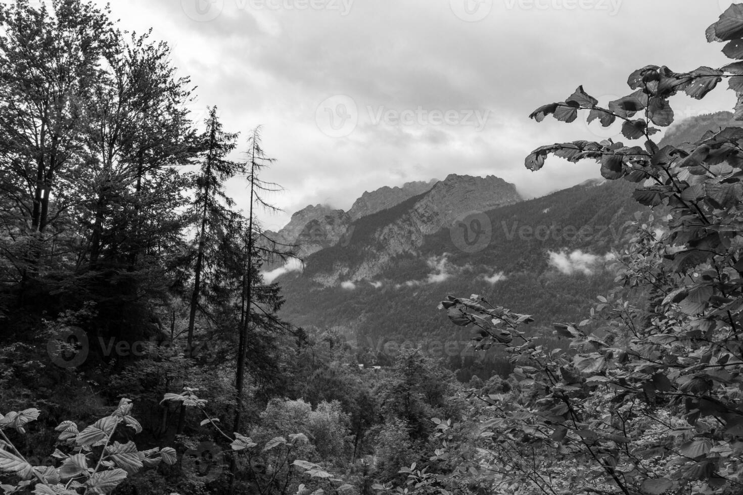 hiking near gosau in austria photo