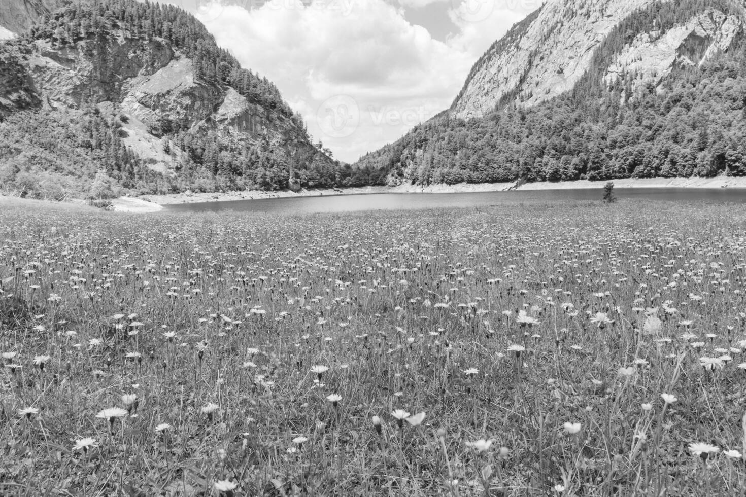 hiking near gosau in austria photo