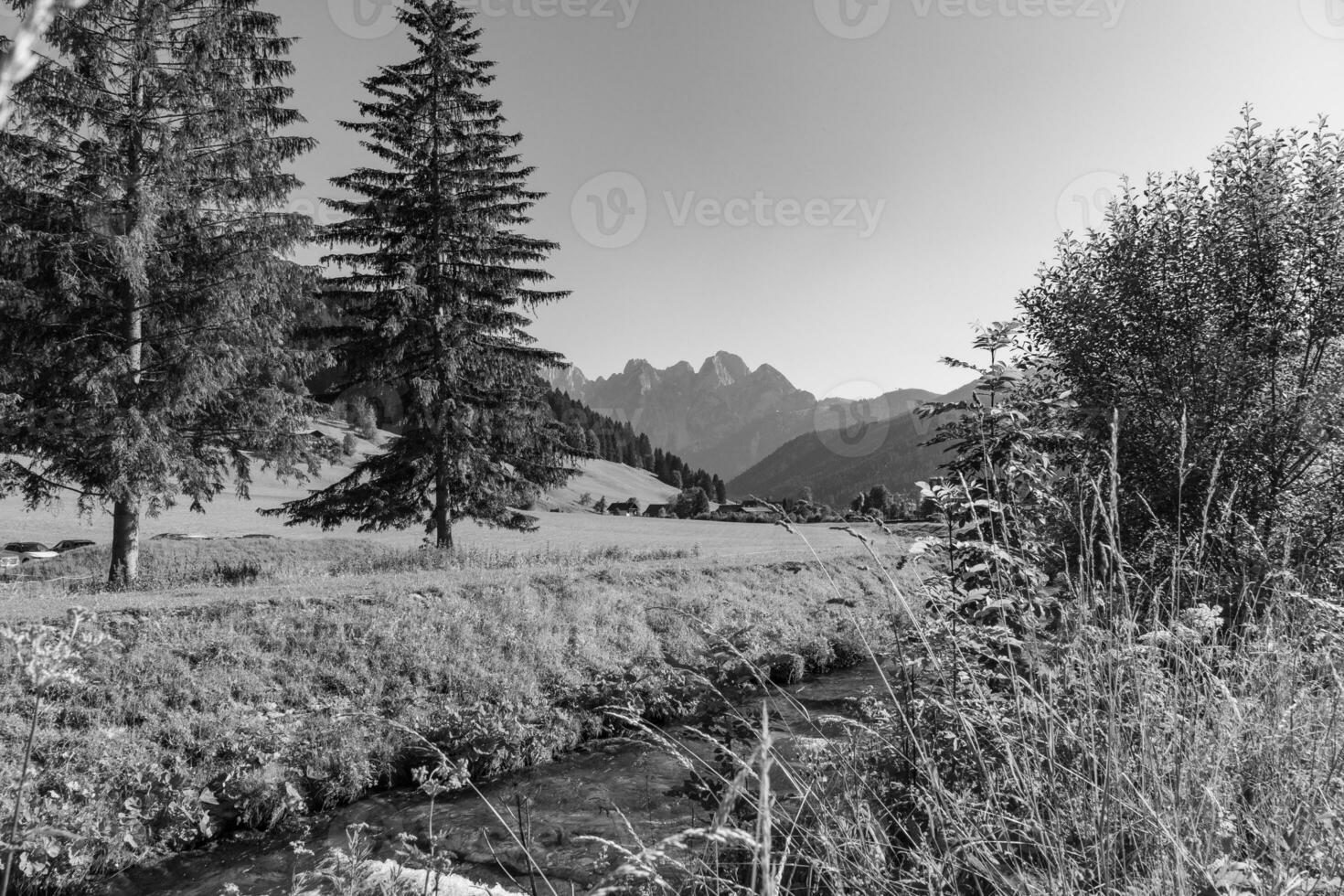 hiking near gosau in austria photo