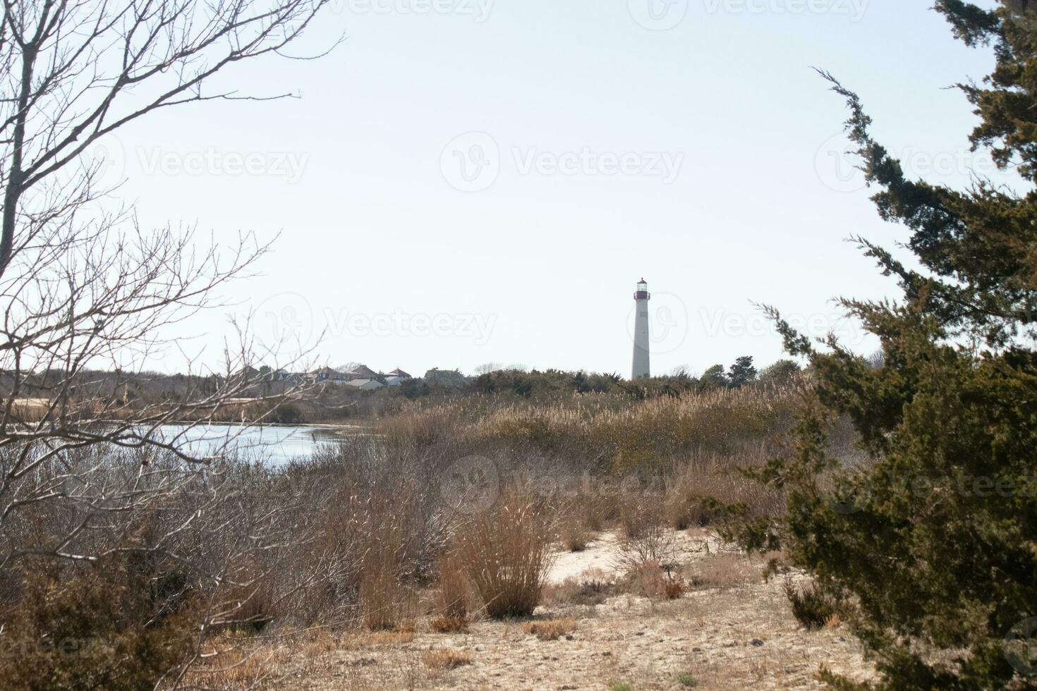 This is the look of the Cape May point lighthouse from the birdwatching nature preserve close by. I love the look of the pond in this landscape picture and the brown look of all the foliage. photo