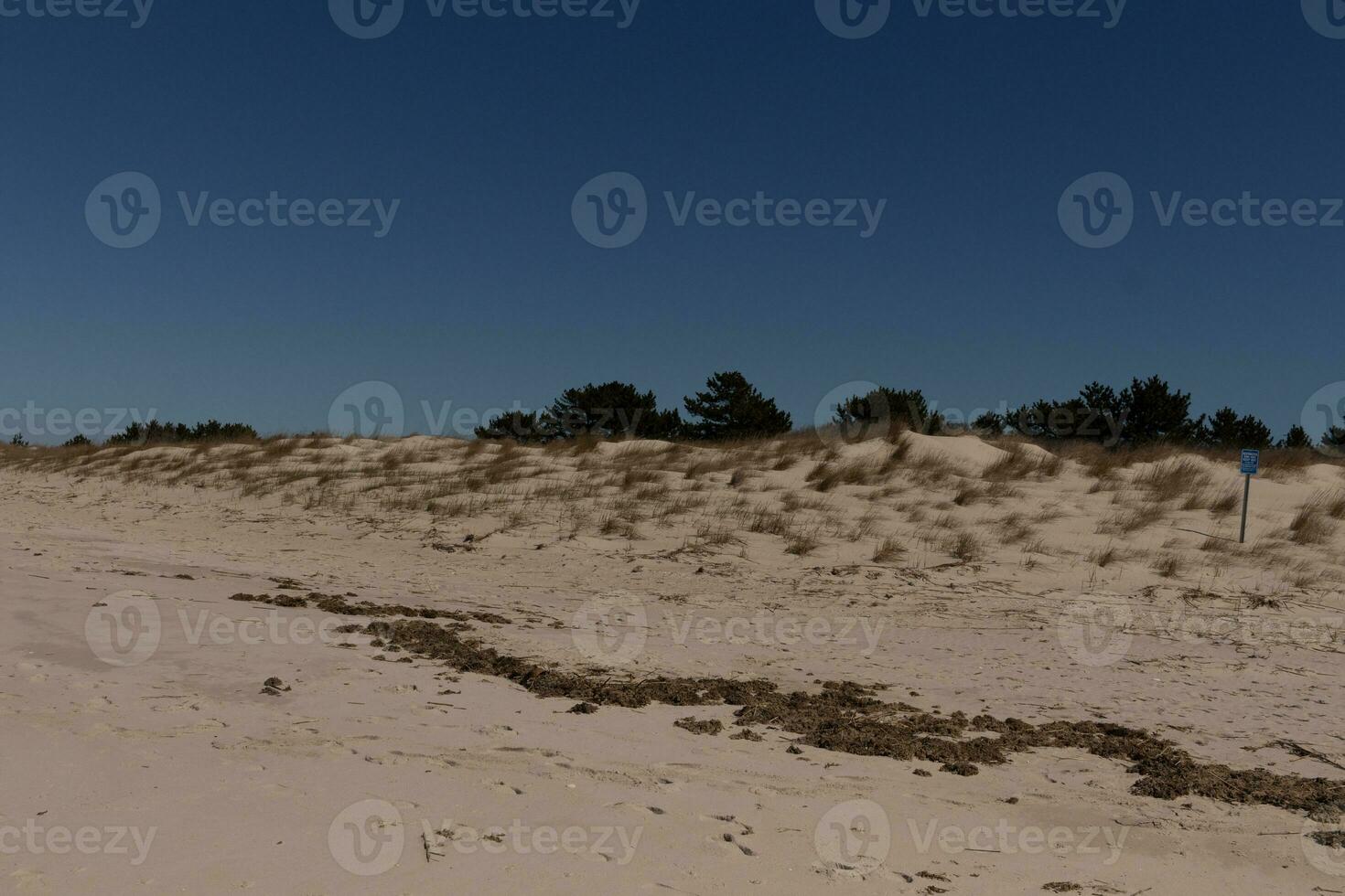 Image of Sunset Beach at Cape May New Jersey. The beautiful blue sky is in the distance. The brown sand all over with beach debris and green sand dunes in the back. photo
