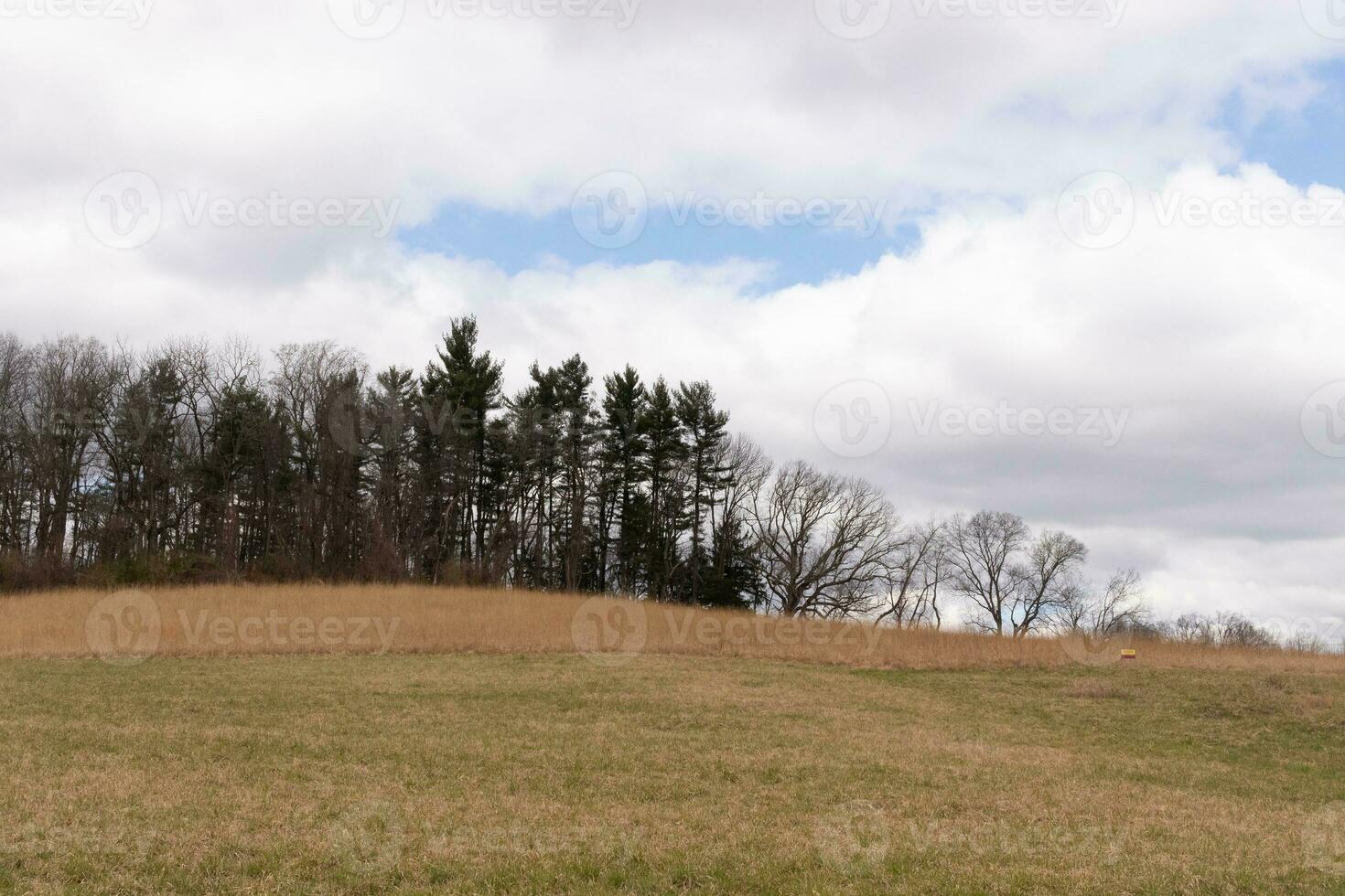 Beautiful field in the middle of a nature preserve. The tall brown grass all over showing the Fall season. You can see tall trees in the background. Grey sky with clouds all over in the distance. photo