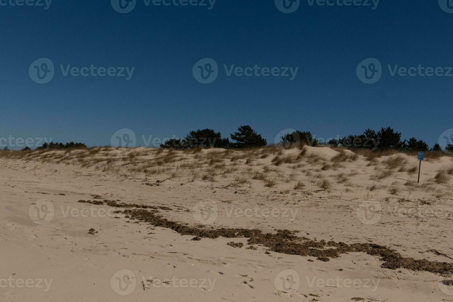 Image of Sunset Beach at Cape May New Jersey. The beautiful blue sky is in the distance. The brown sand all over with beach debris and green sand dunes in the back. photo