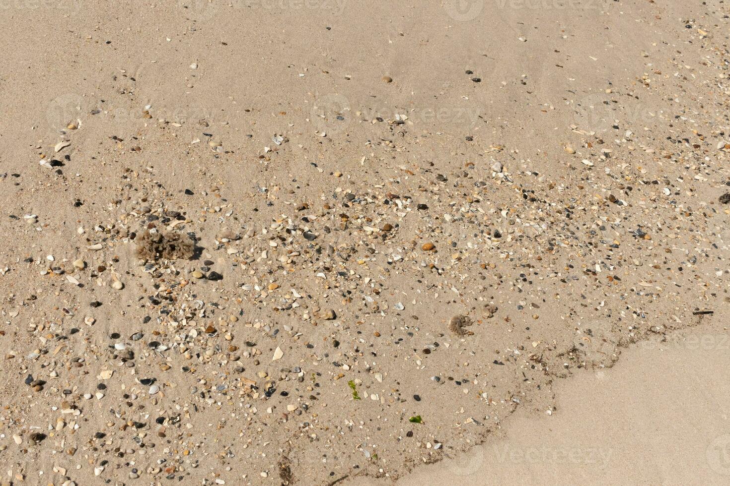 Pretty pieces of seashells spread across the brown sand. Tiny smooth pebbles mixed in. This is the typical look of Sunset beach in Cape May New Jersey. All of the debris that has been washed ashore. photo