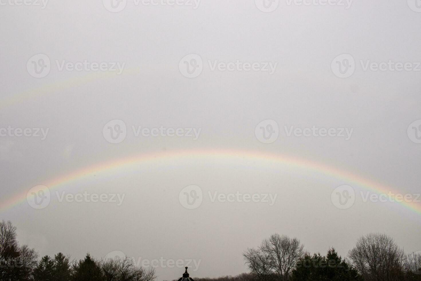 This beautiful double rainbow can be with with a grey sky in the background. The colorful arch is going above the trees. photo