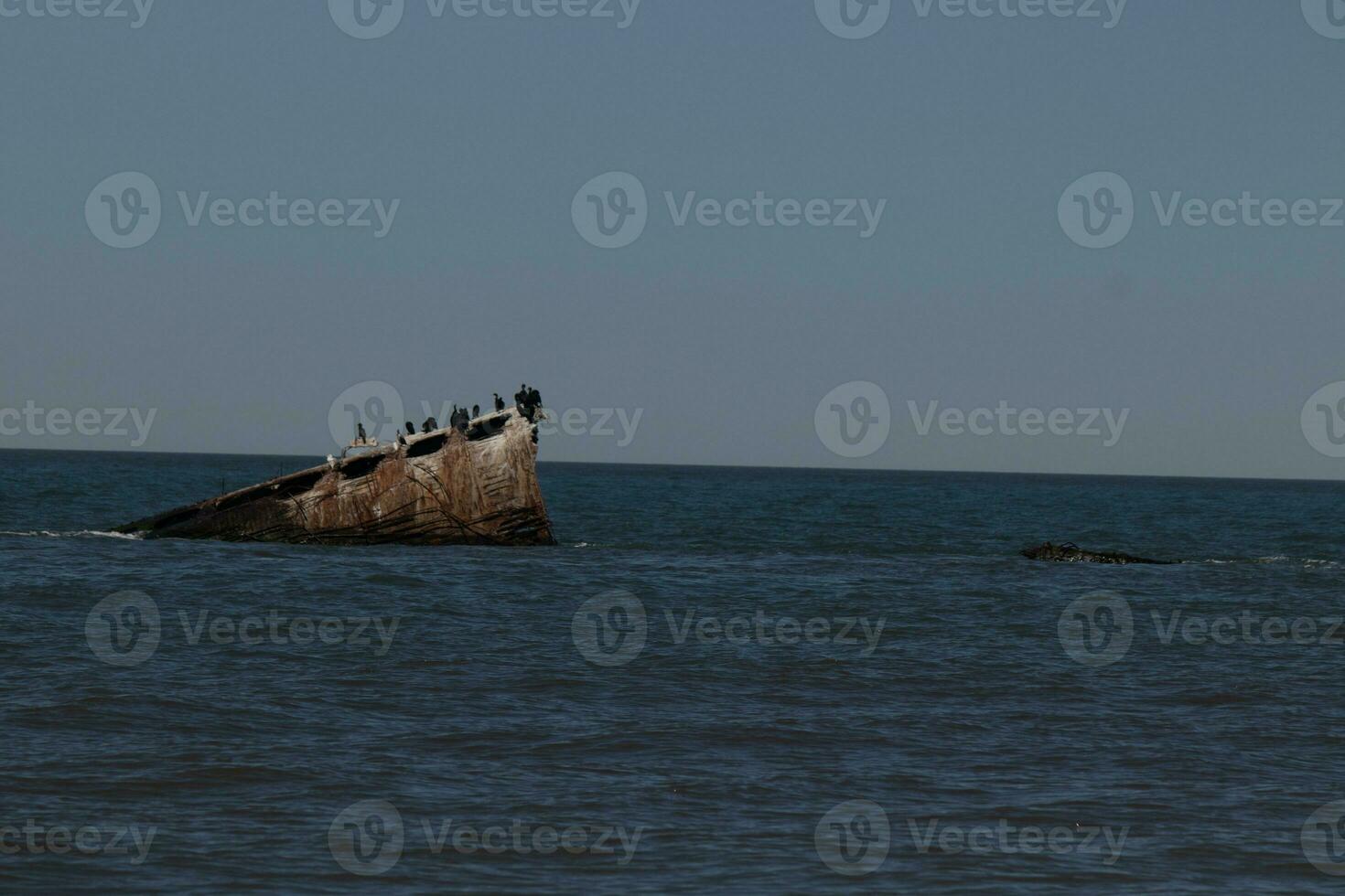 Beautiful concrete ship in the ocean with so many shorebirds on top. This sunken ship is a trademark of Sunset beach in Cape May New Jersey. Double-crested cormorants are resting on it. photo