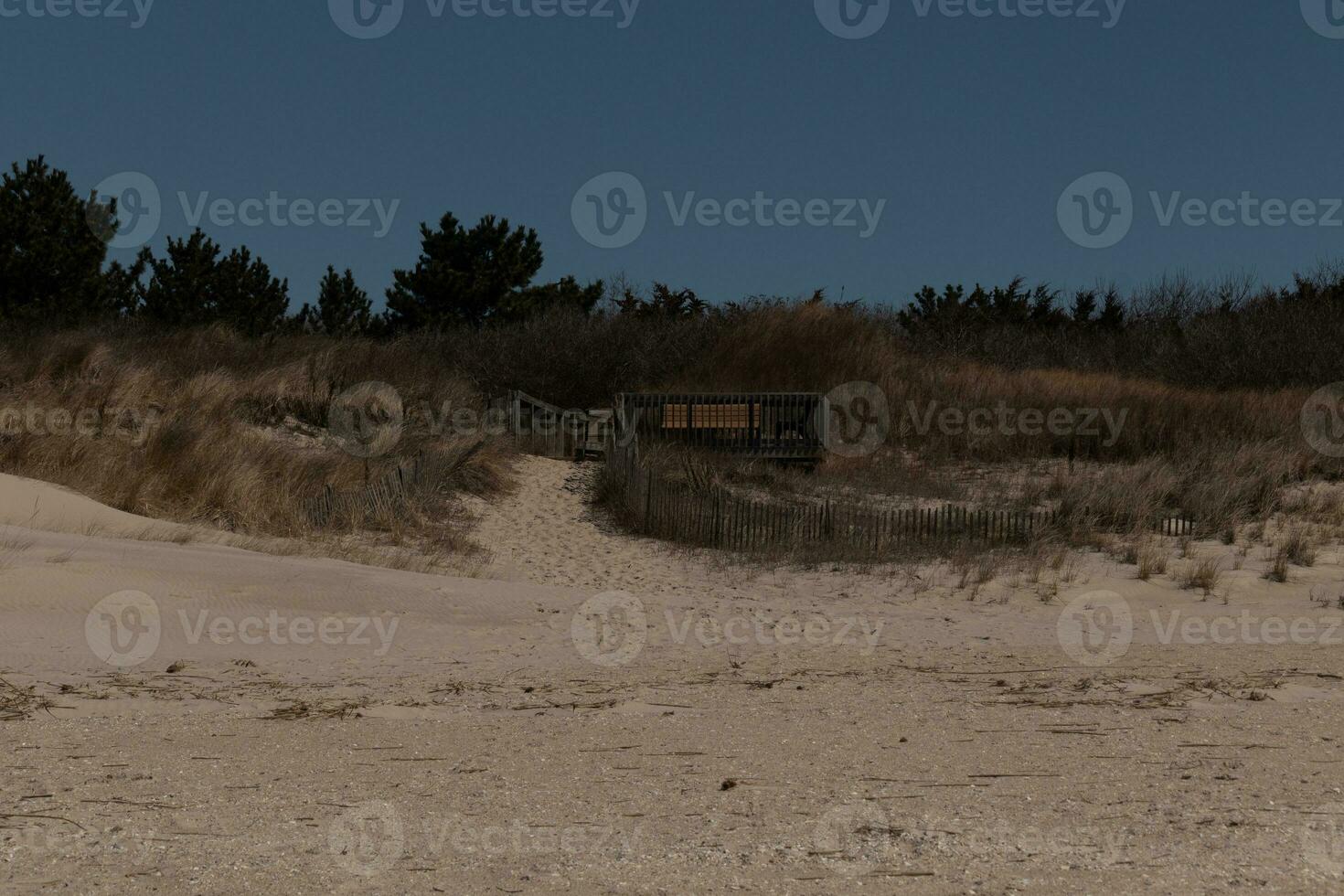 This brown deck comes out from the sand dunes. It has a wooden path to keep people off the protected area. This help people to come to the beach. The pretty colors all around with the sand in front. photo