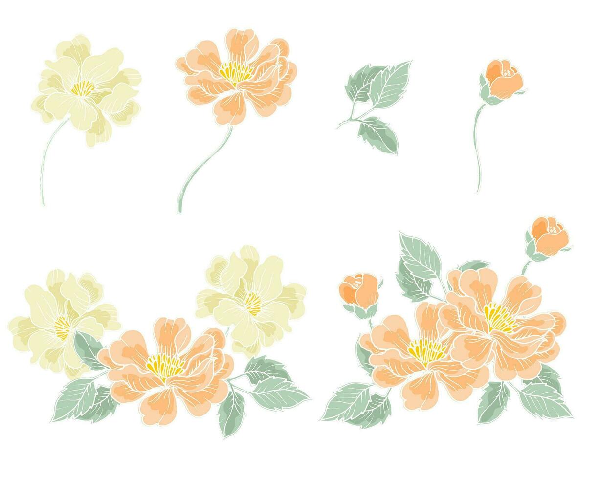Hand Drawn Rose Flower and Leaves vector