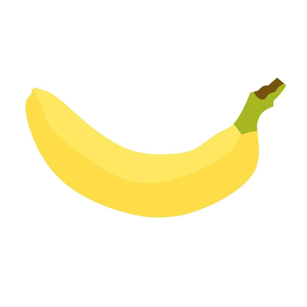 A yellow banana fruit illustration. vector