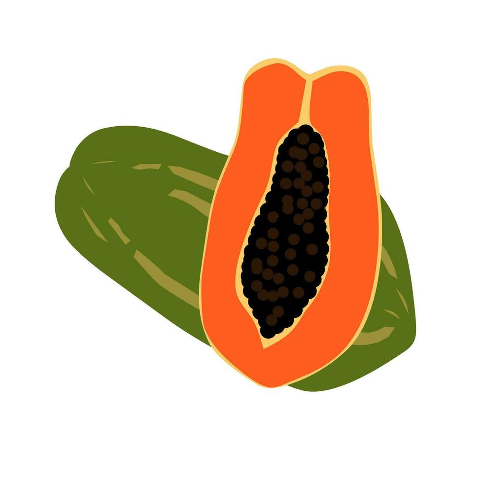 Papaya fruit whole and half sliced illustration. vector