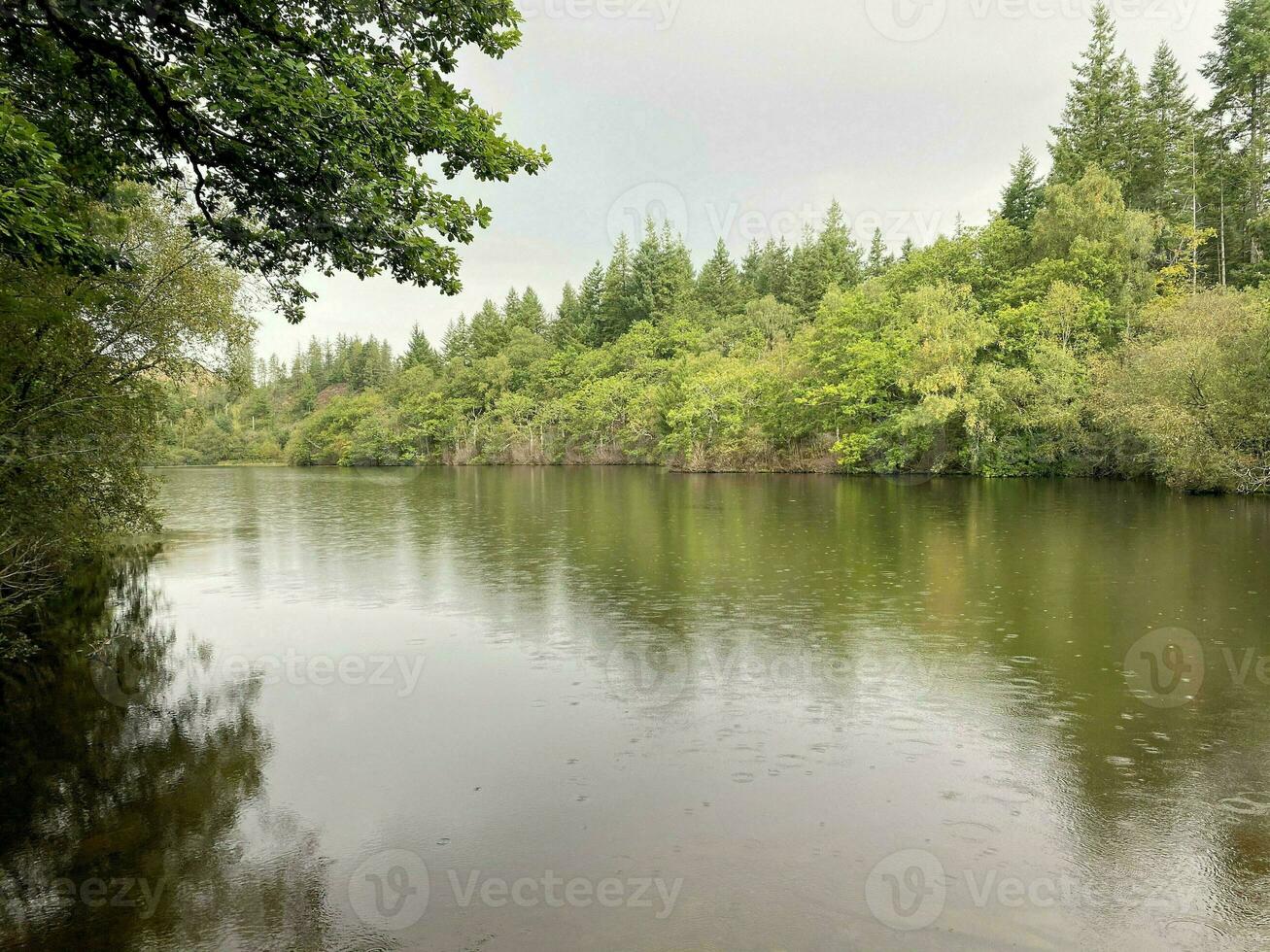 un ver de el norte Gales campo cerca lyn mawr en Snowdonia foto