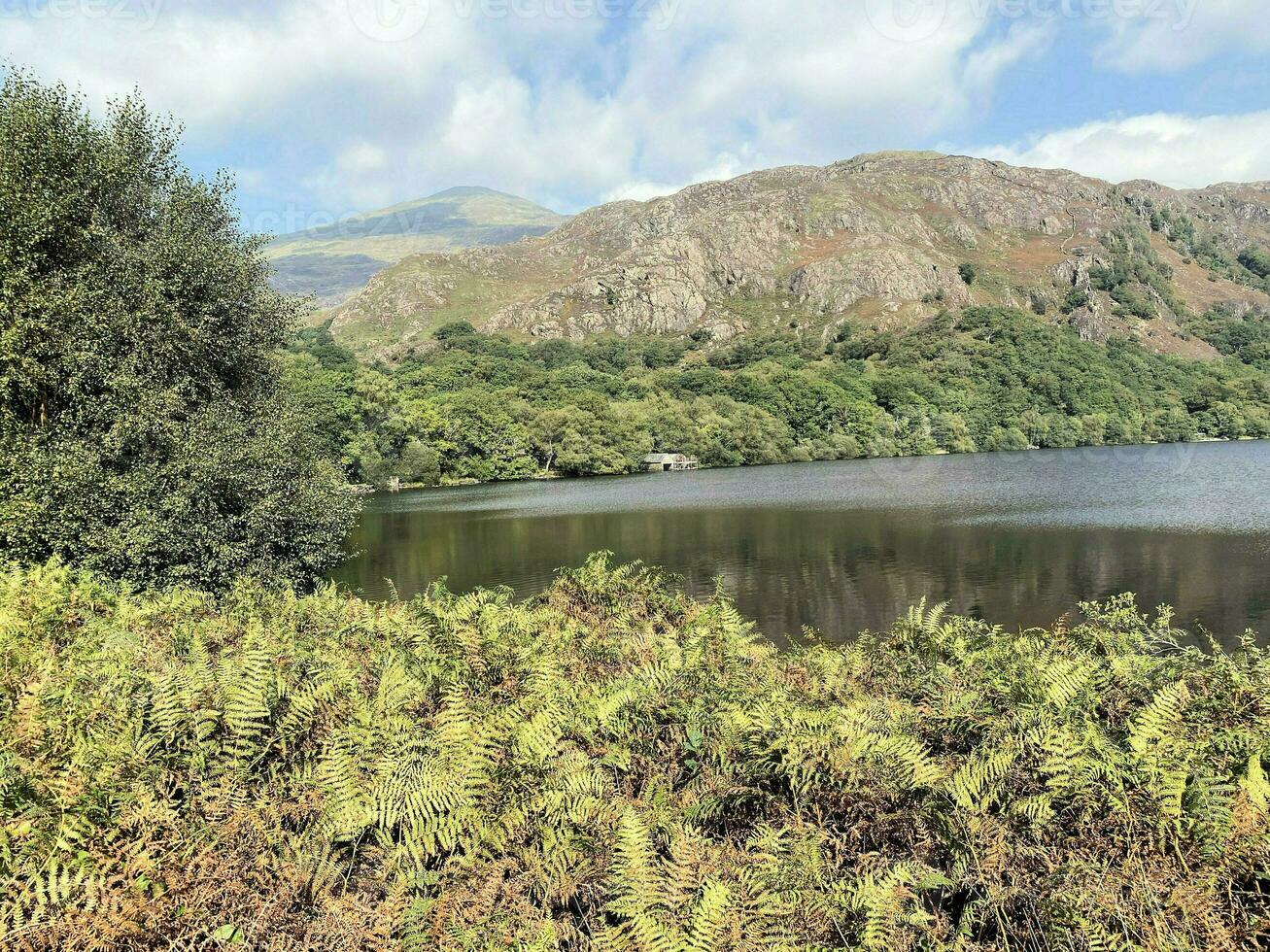 A view of the North Wales Countryside at Llyn Dinas in Snowdonia photo