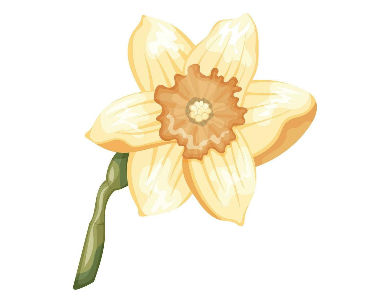 A blossoming bud of a yellow daffodil with petals on a stem. Vector isolated cartoon flower.