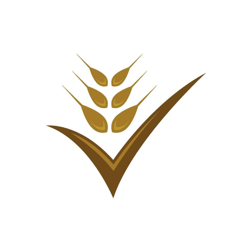 Agriculture wheat vector