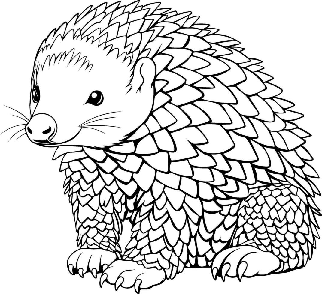 Realistic Pangolin Vector Illustration Hand Drawn Animal Drawing