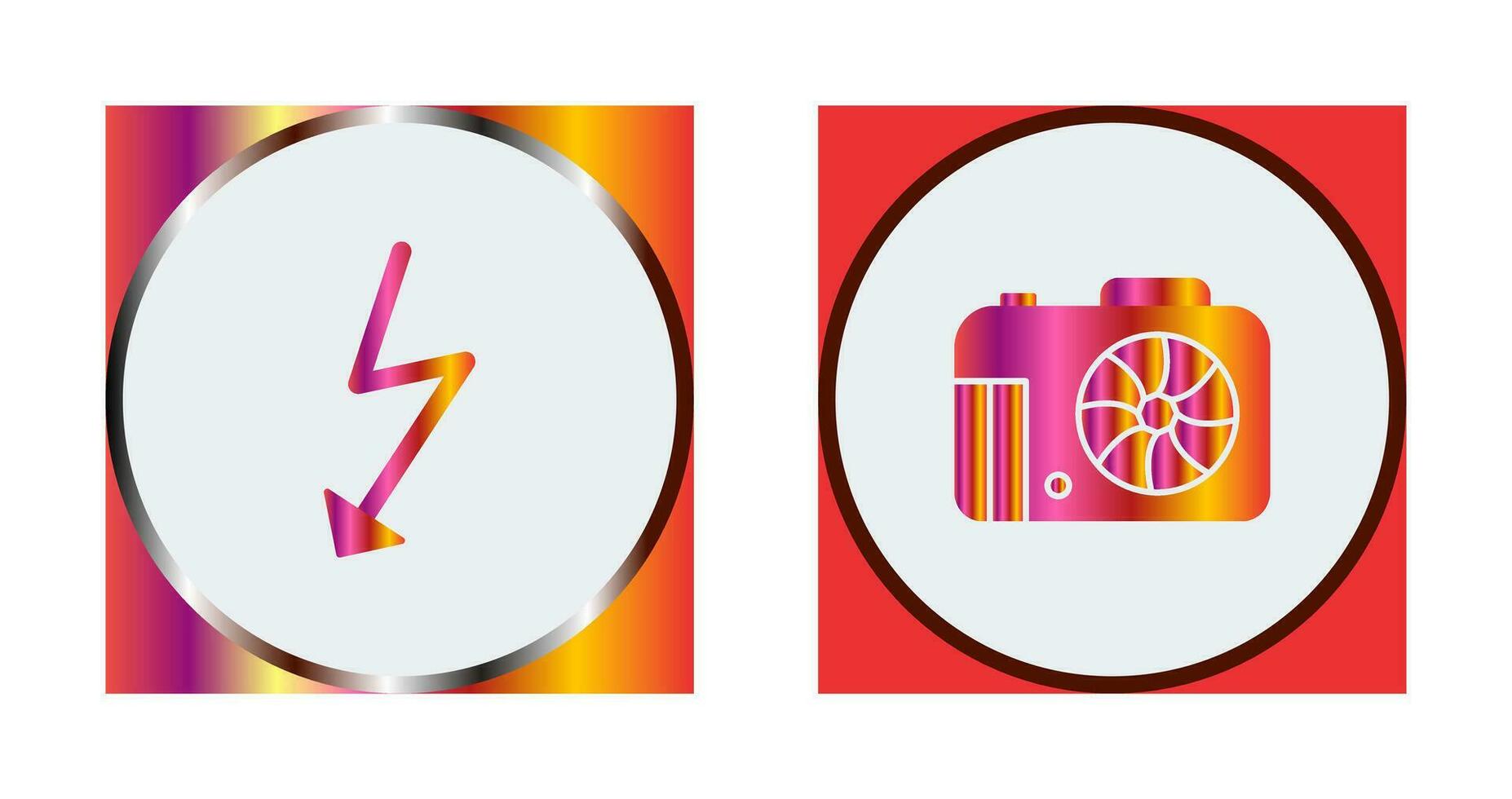 flash and camera Icon vector