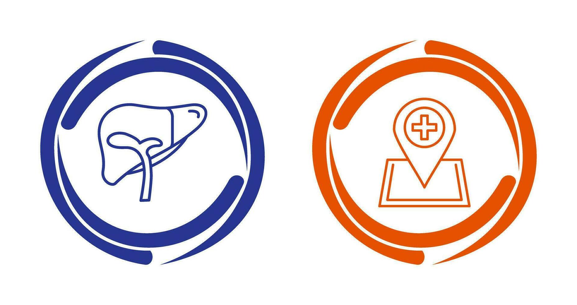 Liver and Location Icon vector