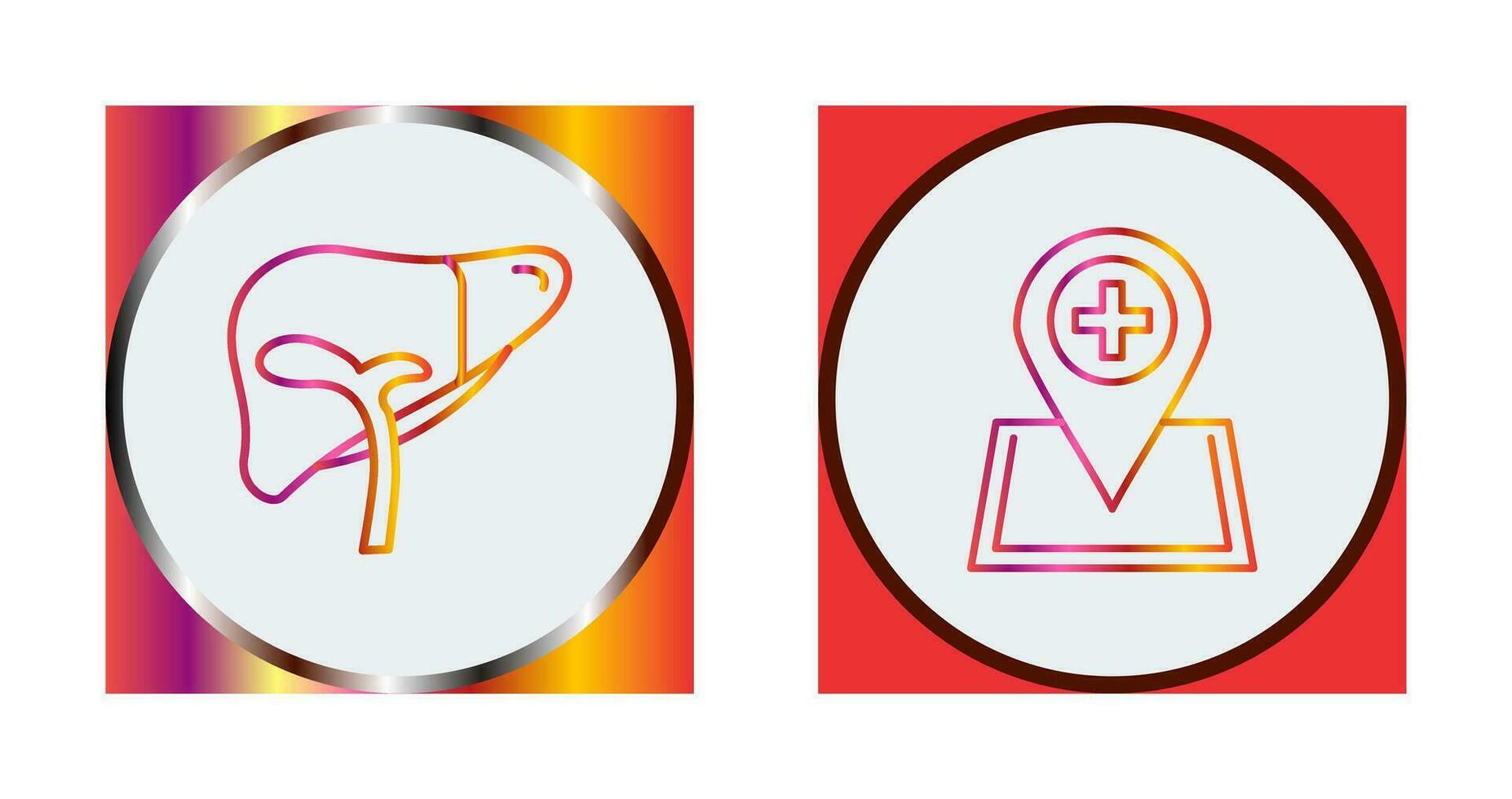 Liver and Location Icon vector