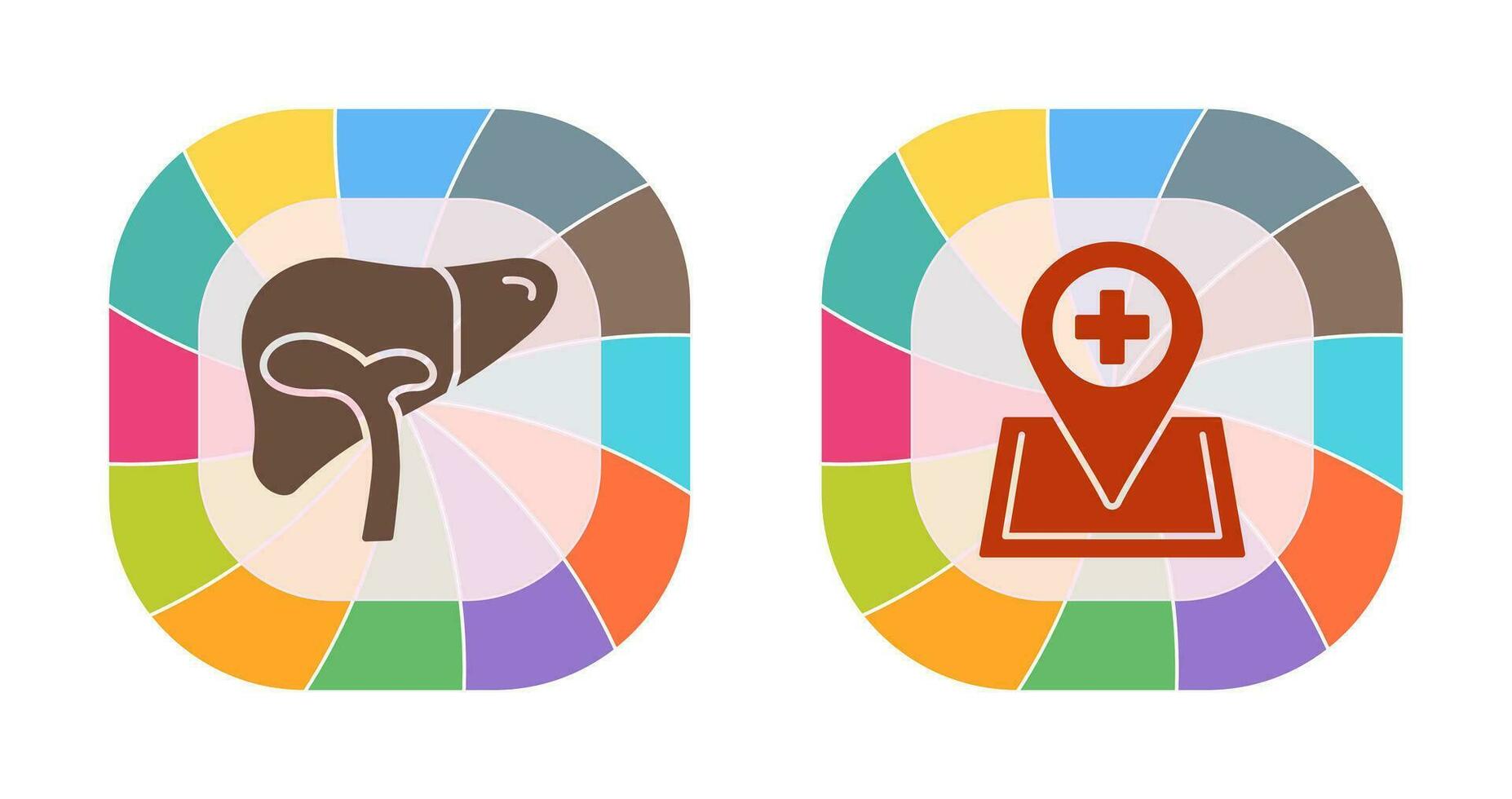 Liver and Location Icon vector