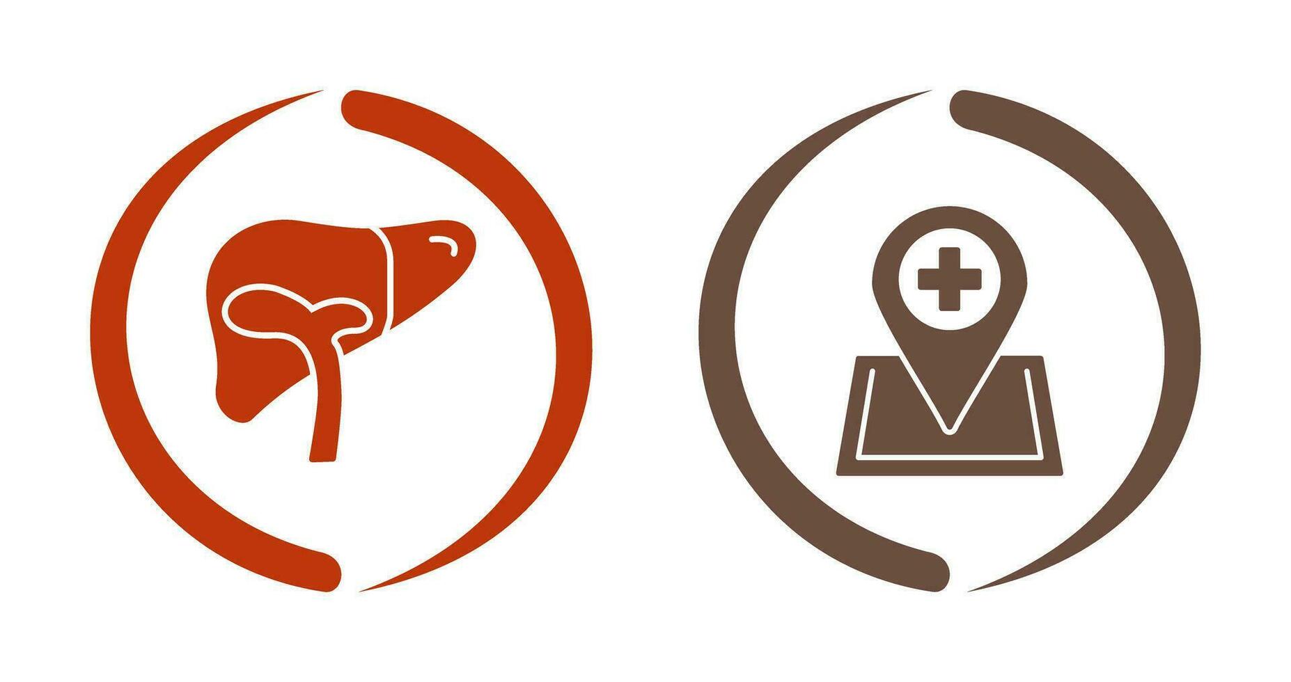 Liver and Location Icon vector