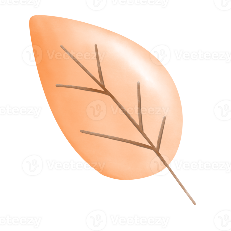 leaf in autumn png