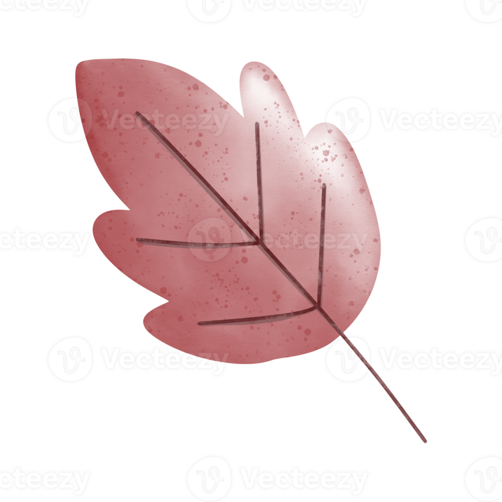 leaf in autumn png