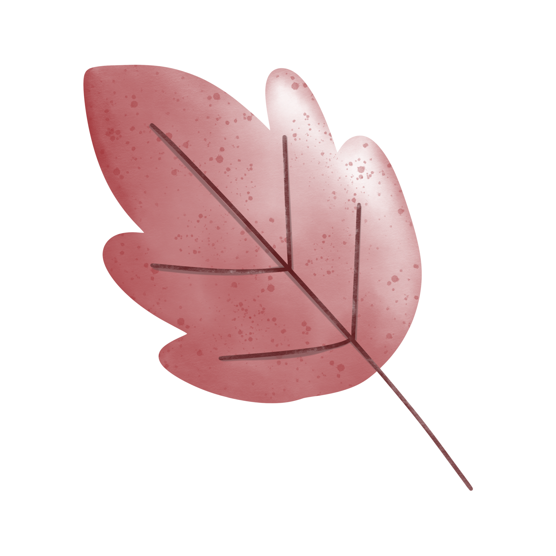 leaf-in-autumn-32886483-png