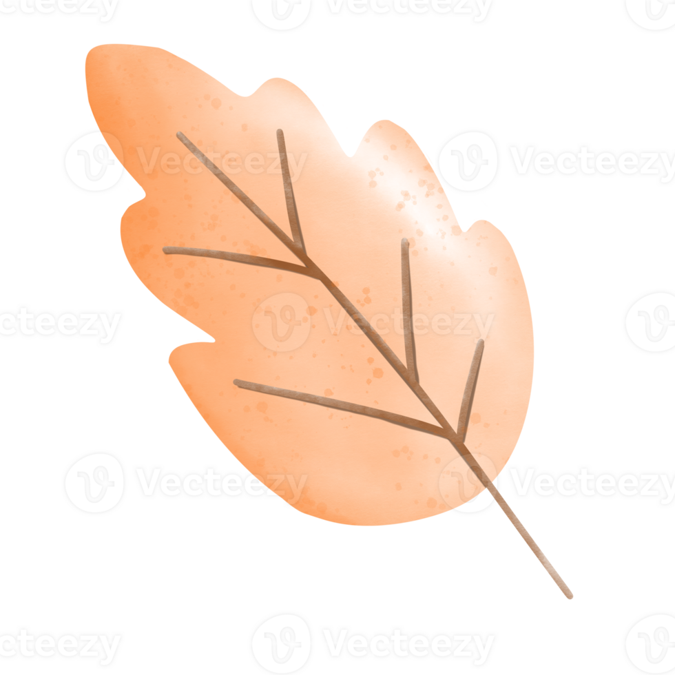 leaf in autumn png
