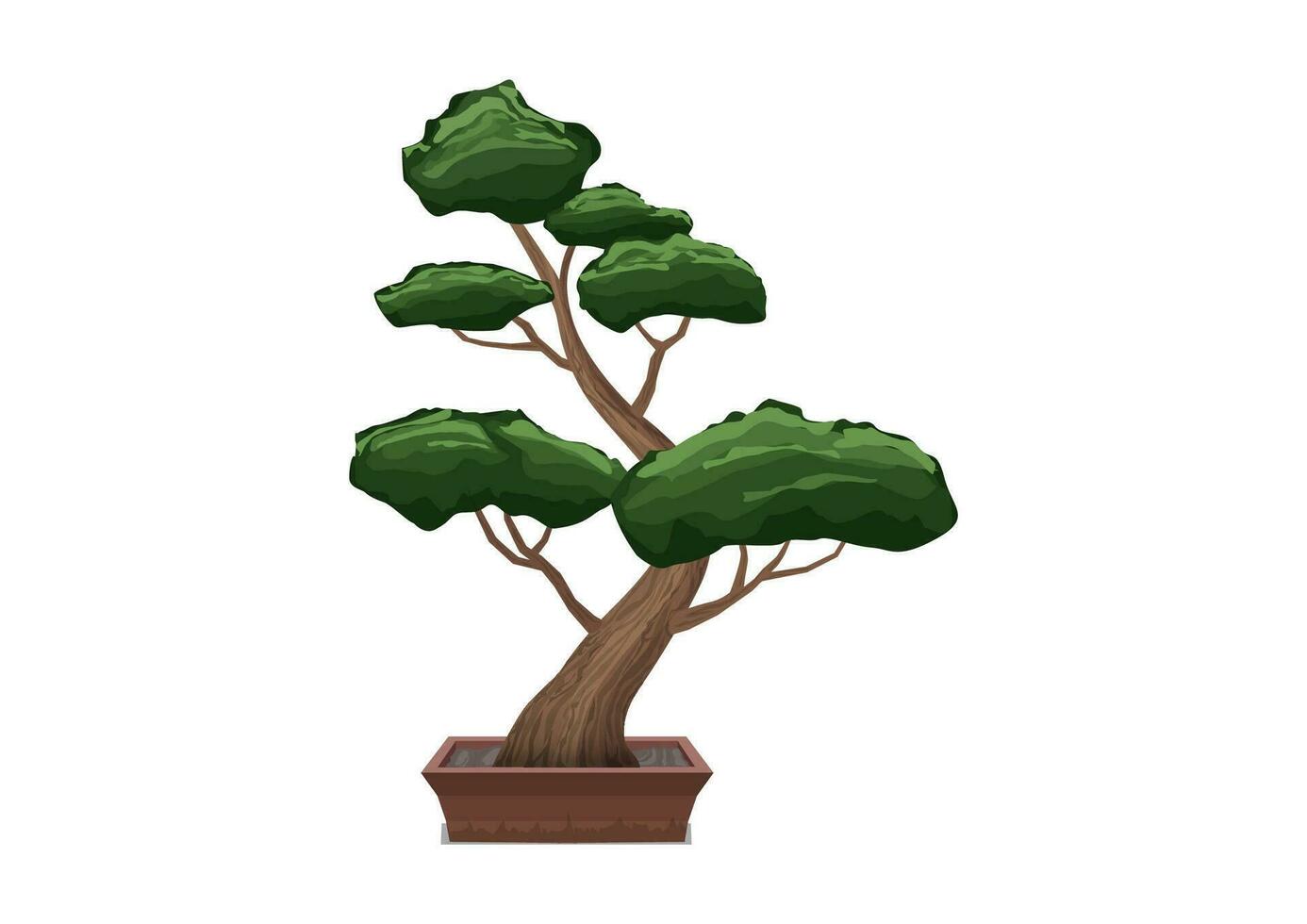 bonsai trees grown in containers. vector