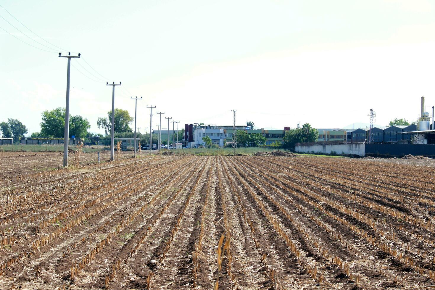 a field with a tractor in it photo