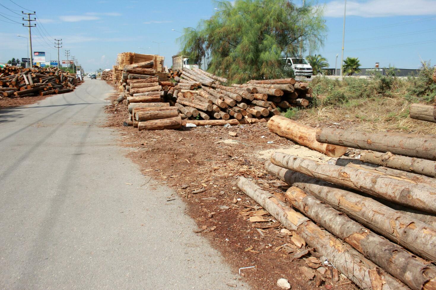 a pile of logs photo