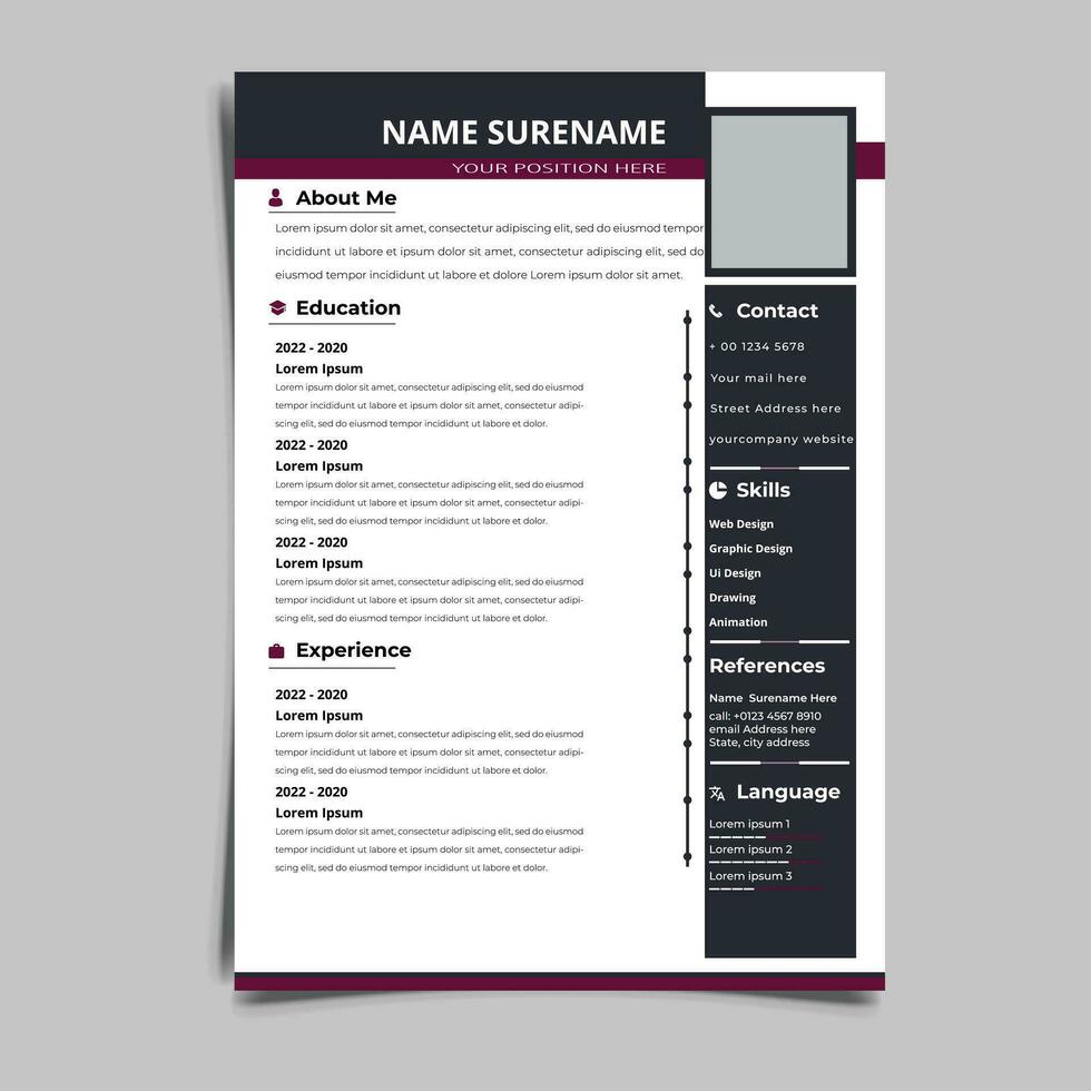 Professional Resume CV vector Graphic Templates