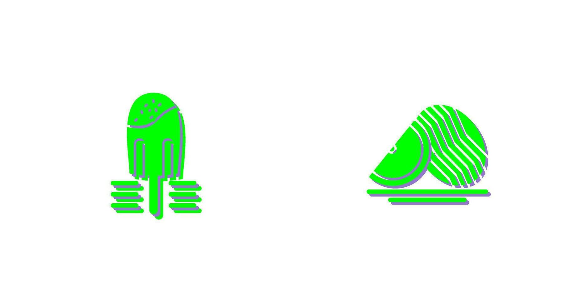 Popsicle and Watermelon Icon vector