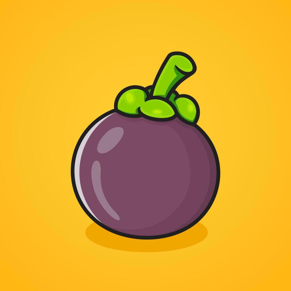 illustration of fresh mangosteen fruit. vector