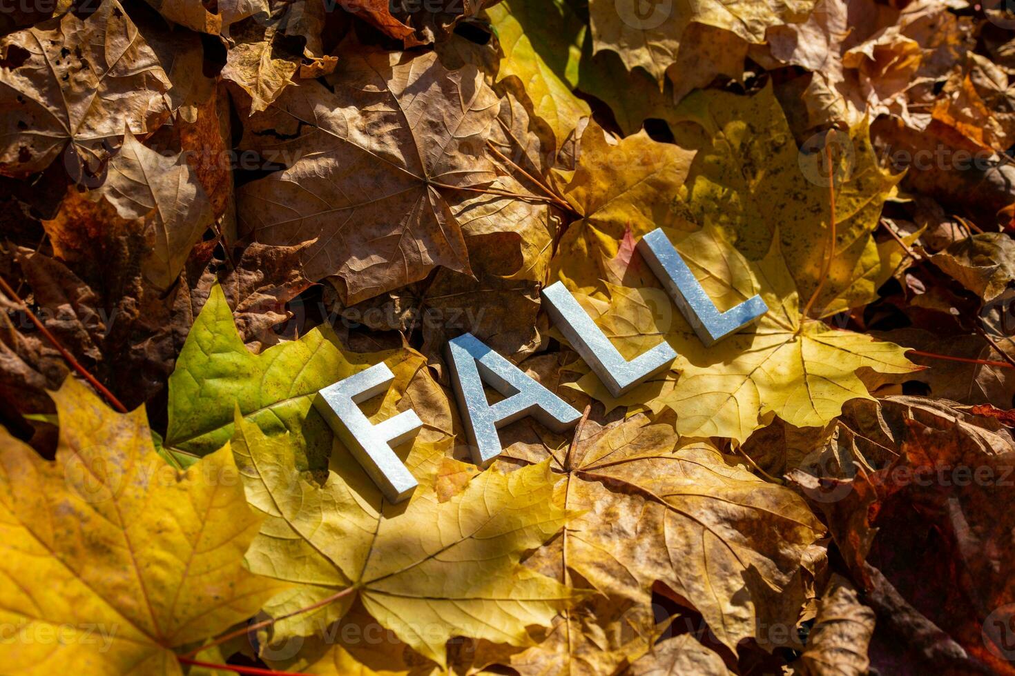 word fall laid with silver metal letters on fallen maple leaves on autumn forest floor photo