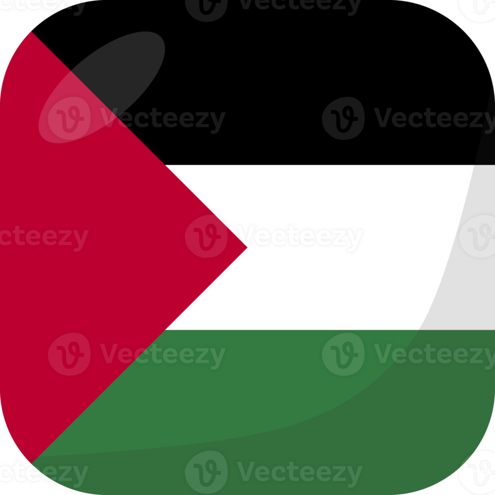 State of Palestine flag square 3D cartoon style. png