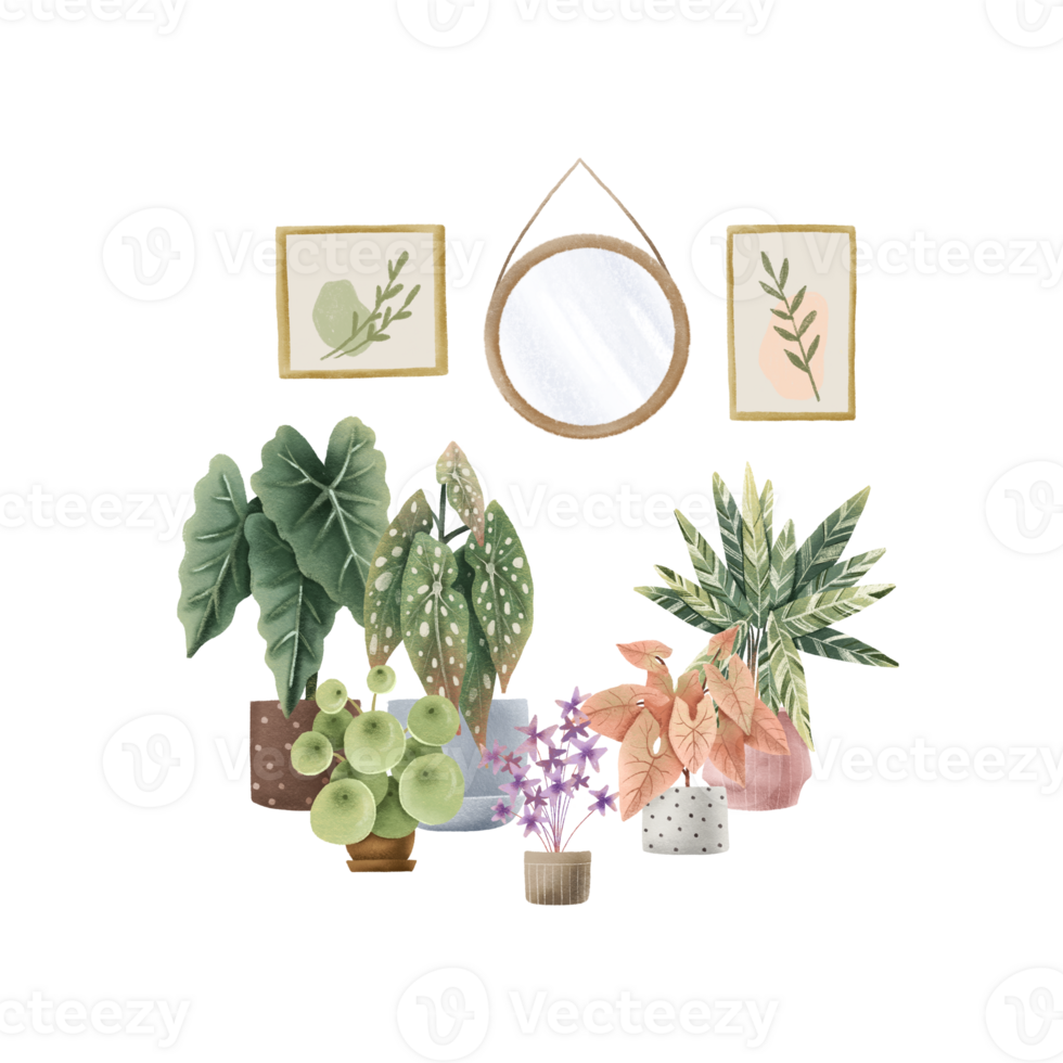 interieur met huis planten, schilderijen en spiegels. allocasia, begonia maculata, peperomia, syngonium, calathea, oxalis. schattig hand- getrokken illustratie. Scandinavisch stijl png