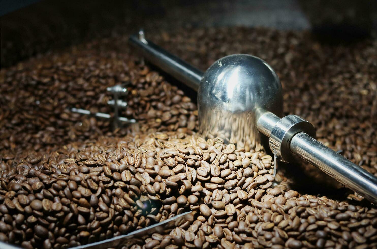 Coffee roasting machine in operation photo