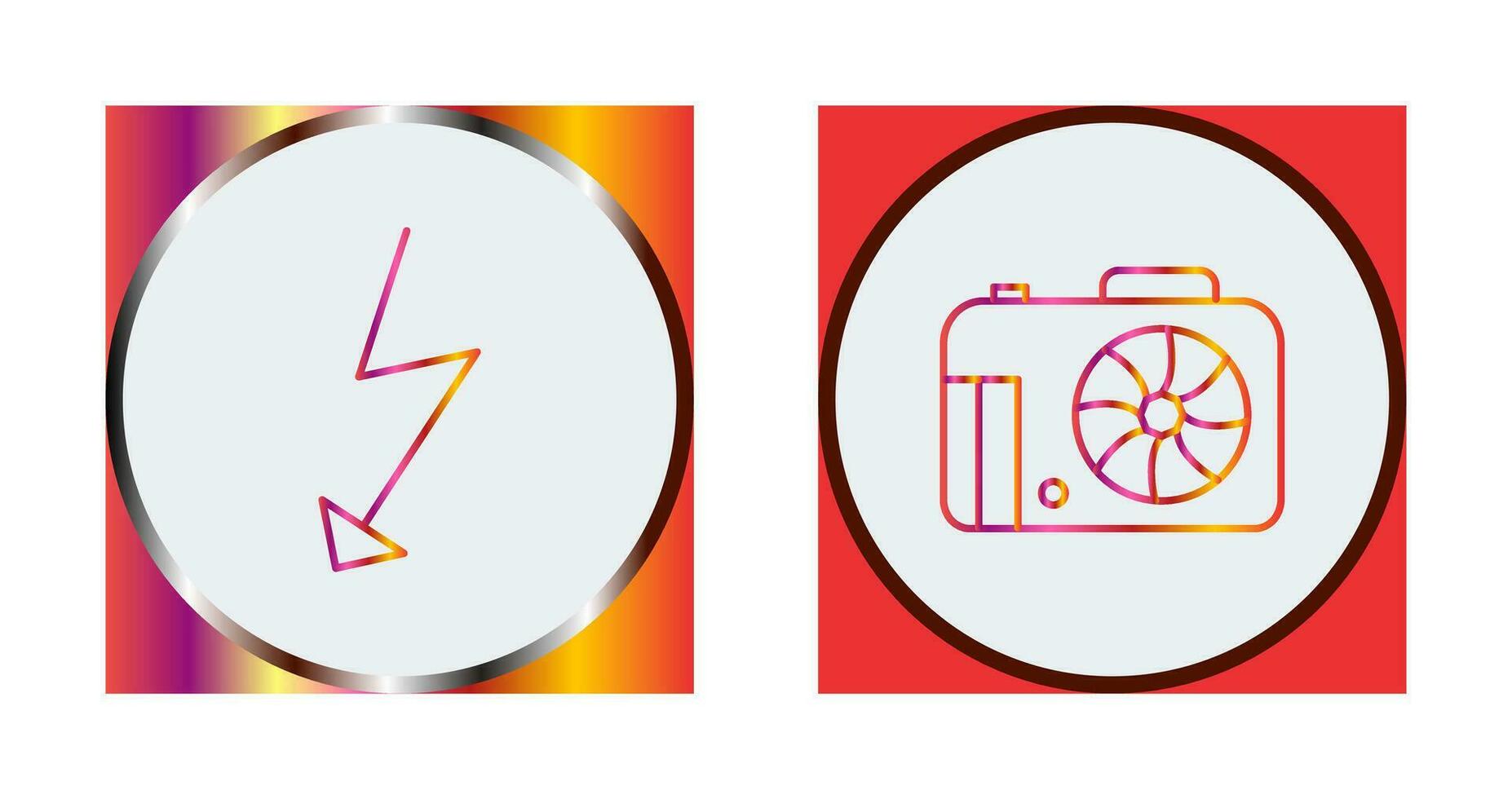 flash and camera Icon vector