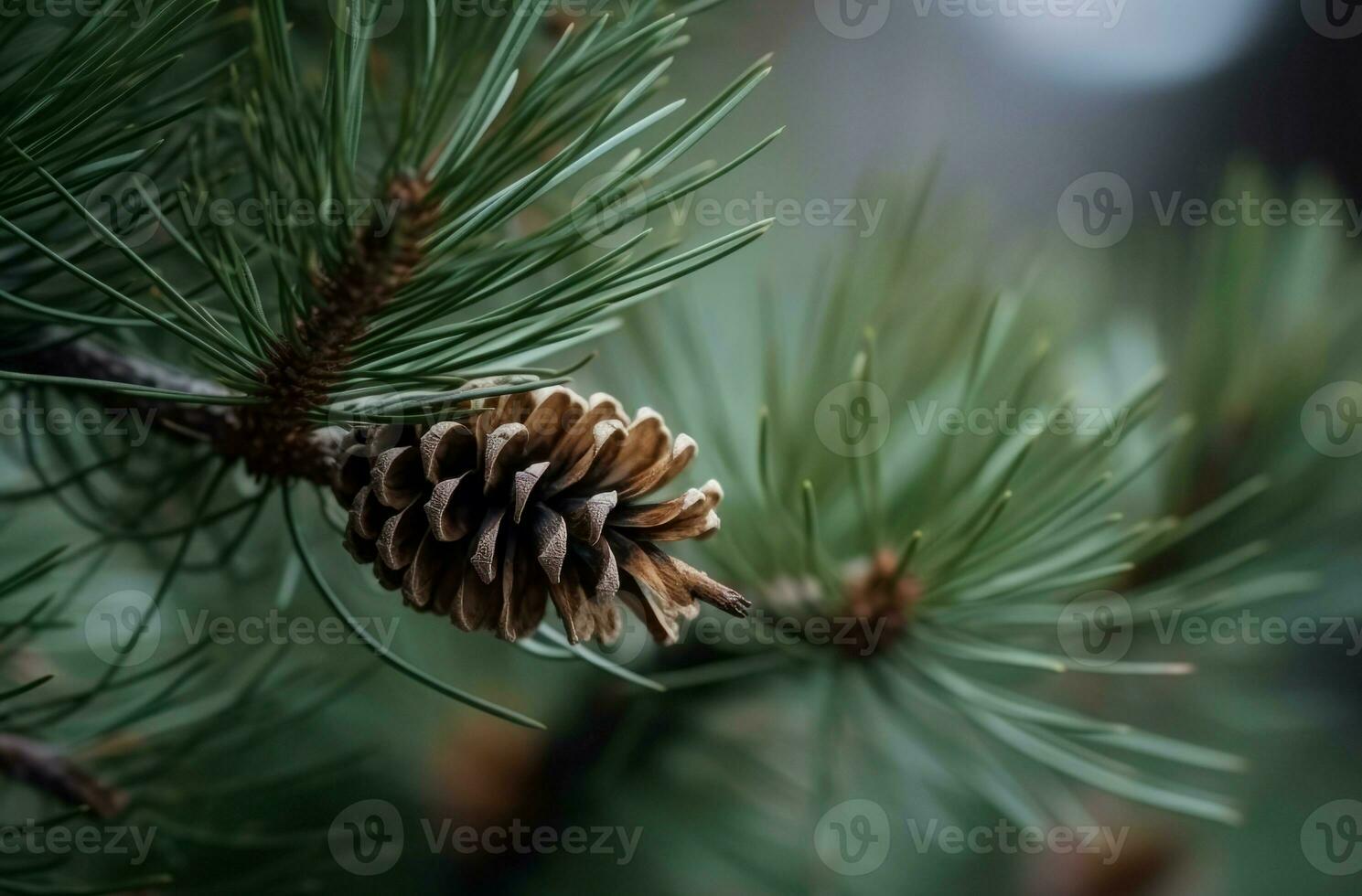 Closeup photo of pine branch cone. Generate ai