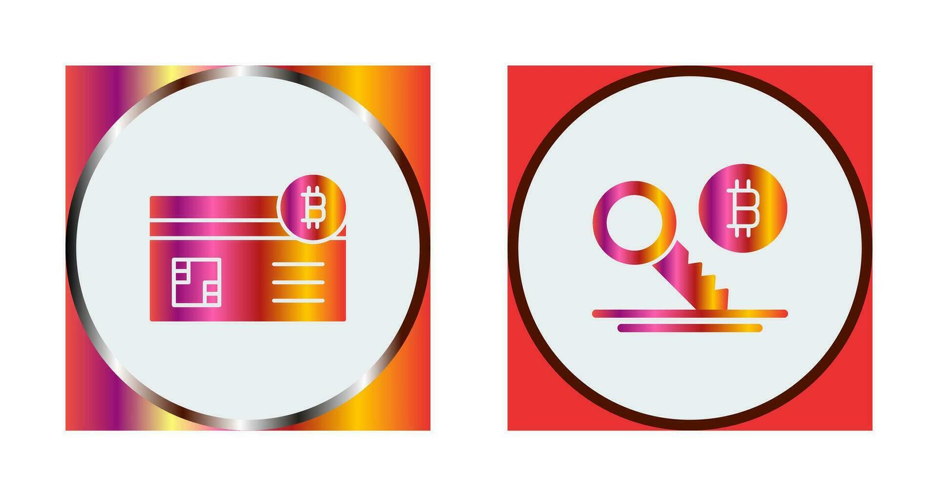 Credit Card and Key Icon vector