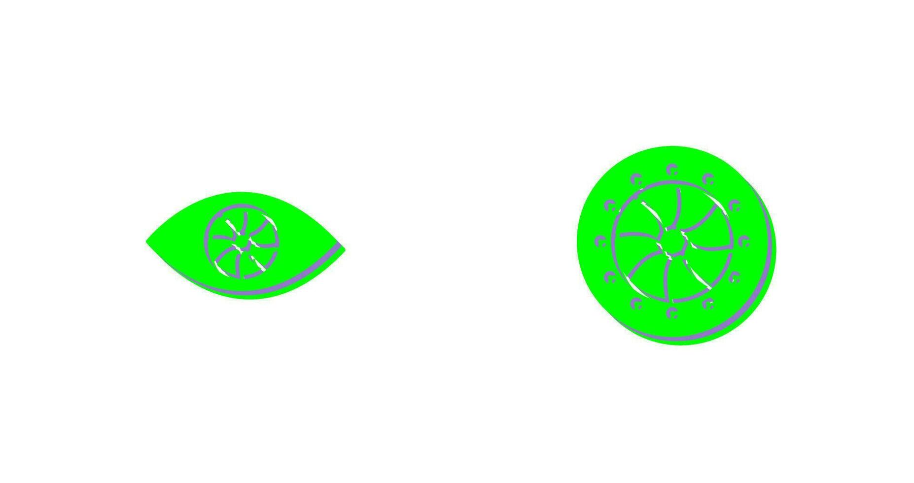 eye and optical diaphram Icon vector