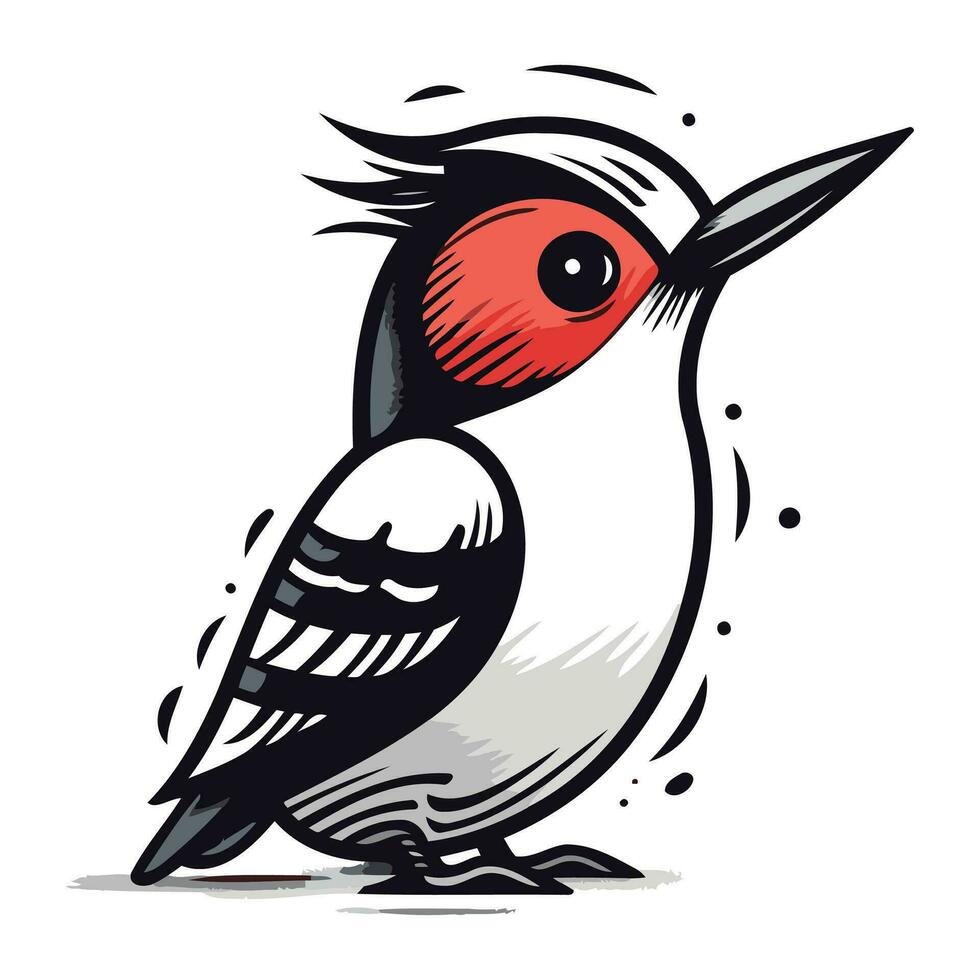 mano dibujado vector ilustración de un rojo vientre pájaro carpintero