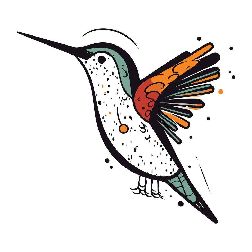 colibrí mano dibujado vector ilustración en garabatear estilo.