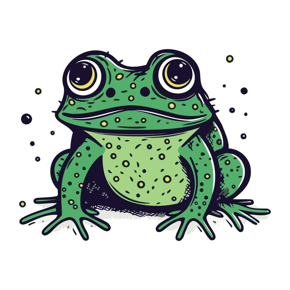 Frog. Vector illustration of a frog on a white background.