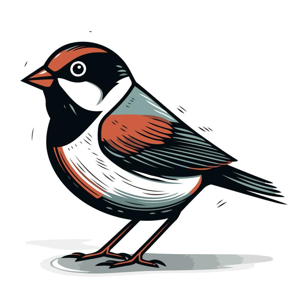 Chickadee. bullfinch. Hand drawn vector illustration.