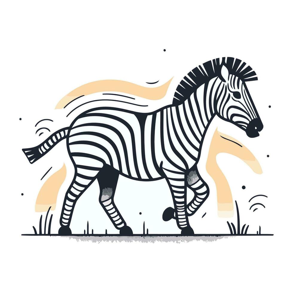 Zebra. Hand drawn vector illustration isolated on a white background.