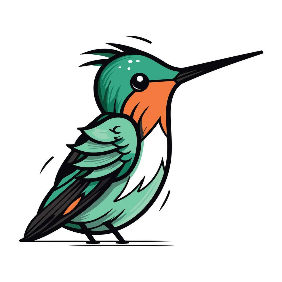 Hummingbird vector illustration. Isolated on a white background.
