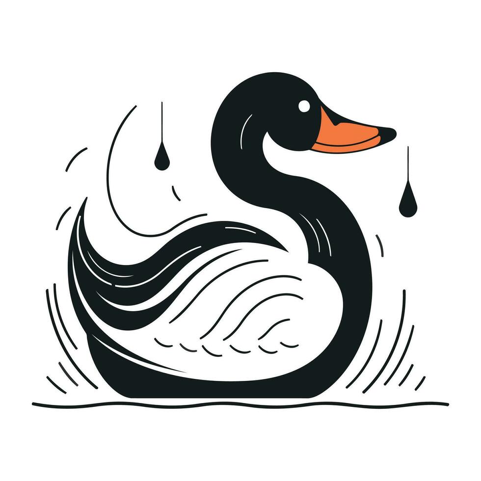 Black swan with a drop of water on its head. Vector illustration