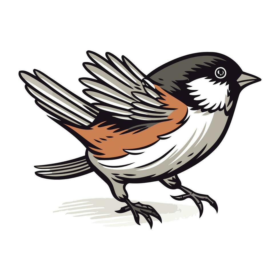 Titmouse. Vector illustration of a bird on a white background.